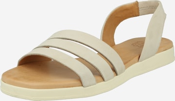 Apple of Eden - Sandalias con hebilla 'Ivy' en blanco: frente