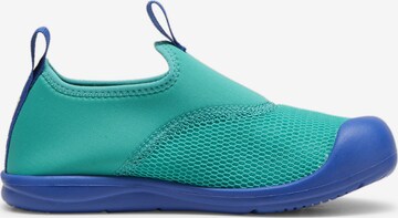 Chaussures basses 'Aquacat Shield' PUMA en vert