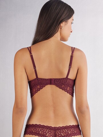 INTIMISSIMI T-shirt Bra in Red