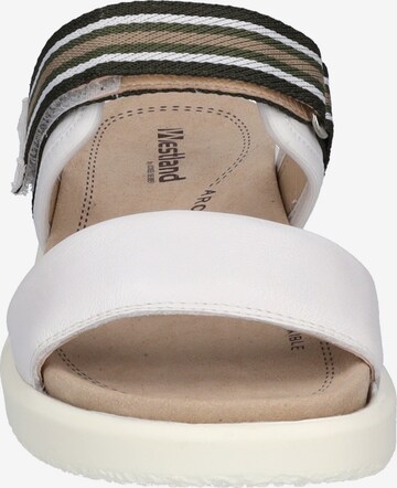 Westland Sandals 'Albi 04' in White