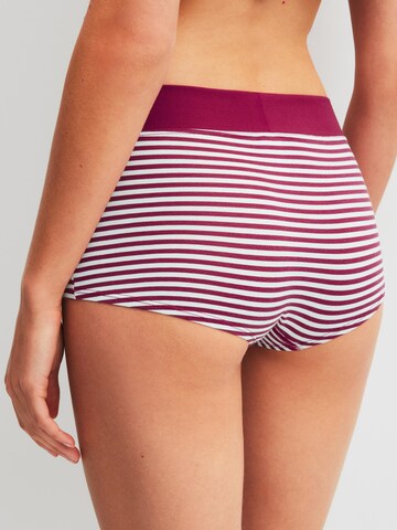 CALIDA Boyshorts 'Elastic' in Purple