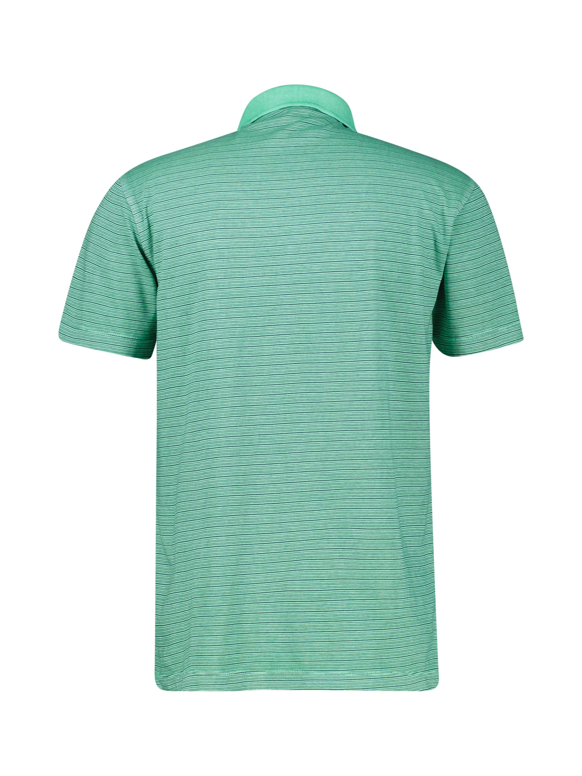 LERROS Shirt in Groen