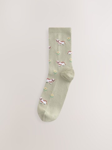 Next Socks in Mixed colours
