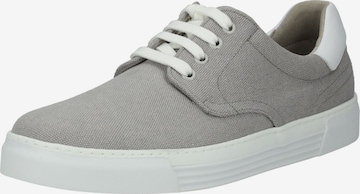 Baskets basses Pius Gabor en gris : devant
