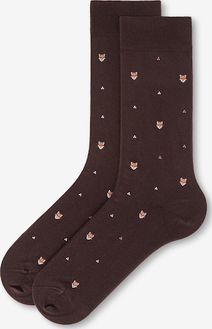 CALZEDONIA Socks in Brown: front