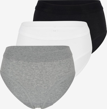SPEIDEL Slip 'bio.cotton Plus' in Grau: Vorderseite