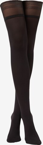 CALZEDONIA Overknee Strümpfe in Schwarz: predná strana