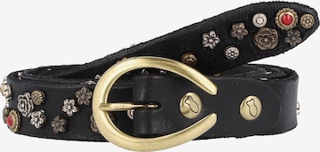 Campomaggi Belt in Black: front