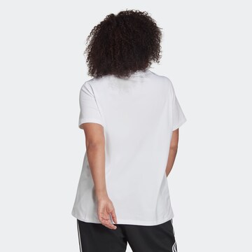 T-shirt 'Adicolor Classics Trefoil ' ADIDAS ORIGINALS en blanc