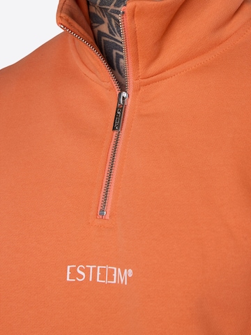 ESTEEM Sweatshirt in Orange