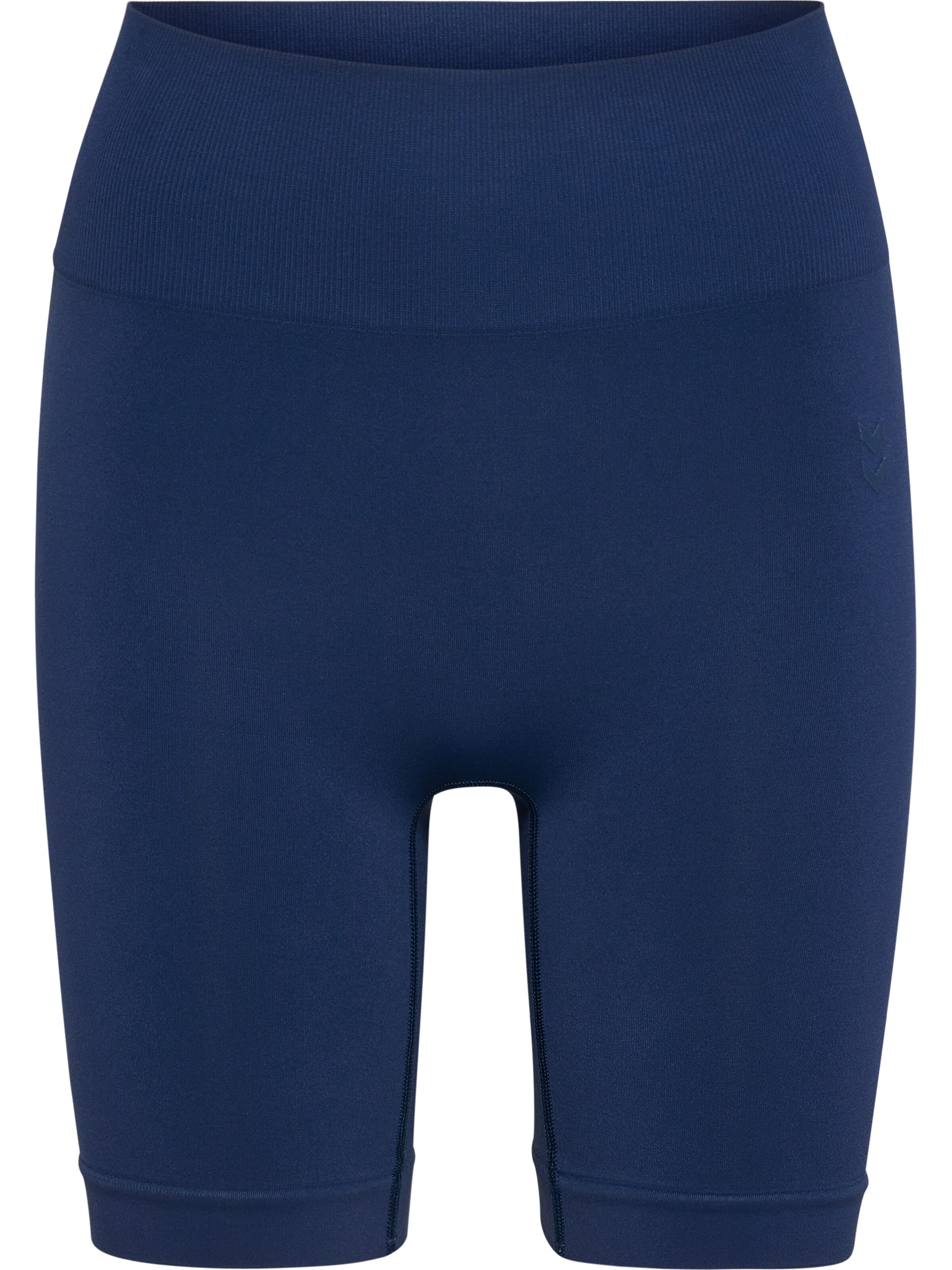 Hummel Workout Pants 'Flow' in Gentian, Item view