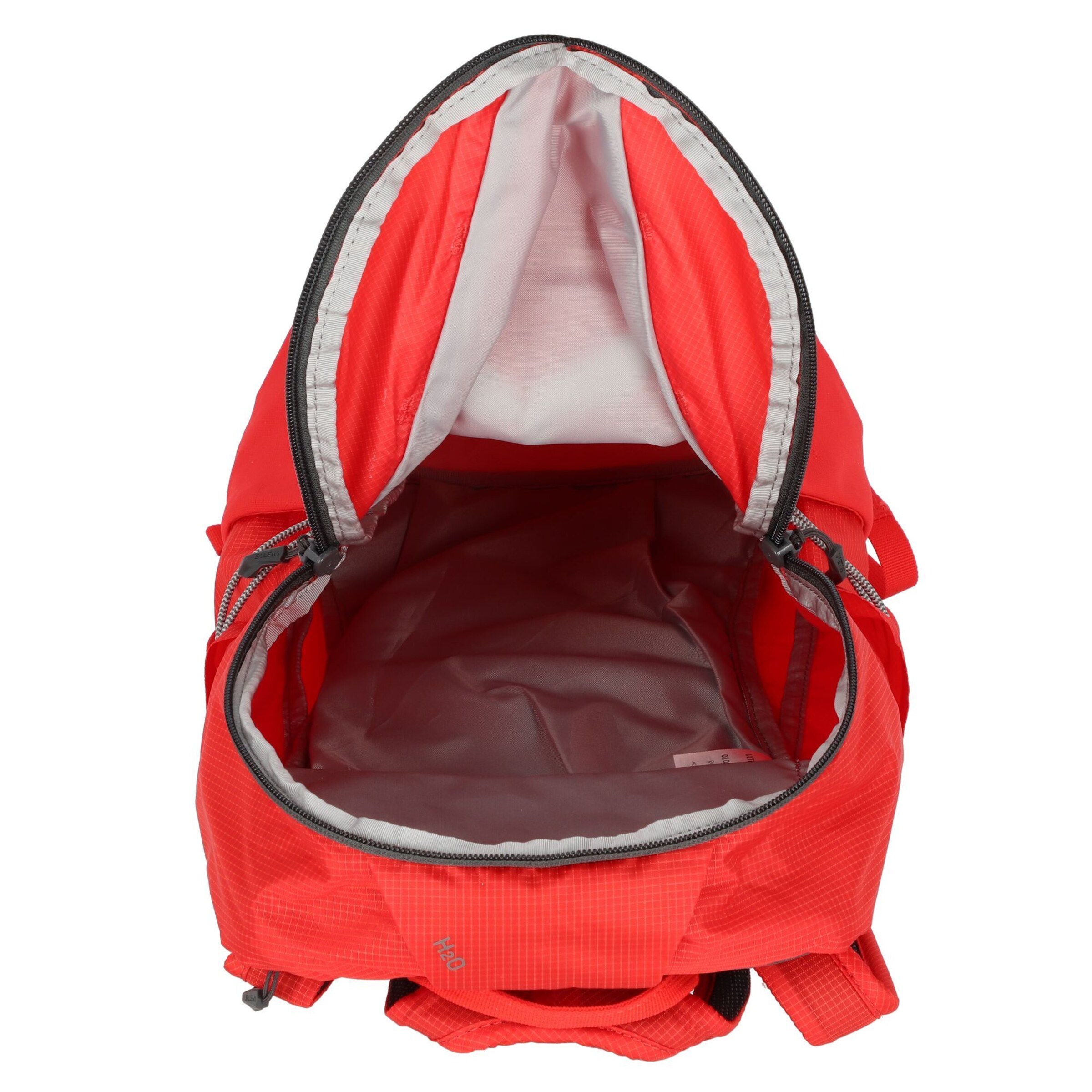 Sac à dos de sport 'Ultra Train' SALEWA en rouge