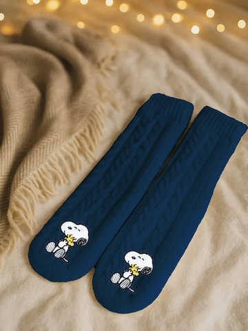 Snoopy & Die Peanuts Socks in Blue