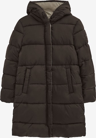 Polo Club Winter Jacket in Brown: front