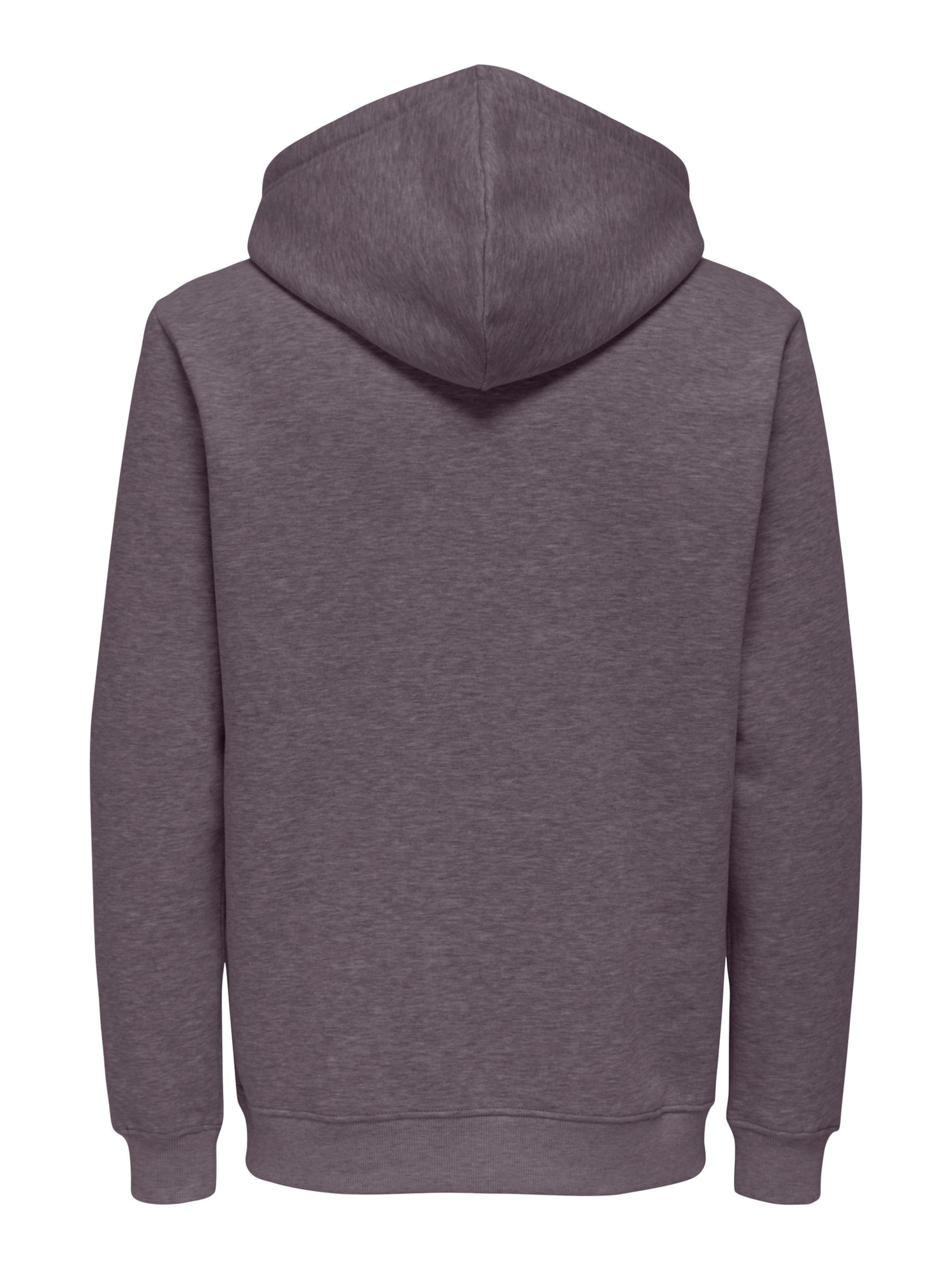 Only & Sons Sweatshirt 'ONSConnor' in Lila