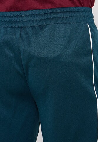 Effilé Pantalon de sport PUMA en vert : derrière