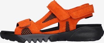WALDLÄUFER Hiking Sandals in Orange