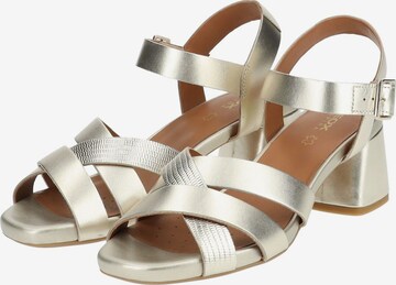 GEOX Sandalen met riem in Goud