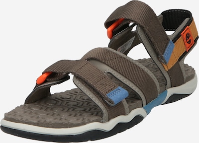 TIMBERLAND Sandals & Slippers 'Adventure Seeker' in Blue / Caramel / Khaki, Item view