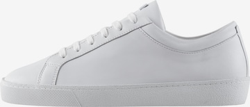 Högl Sneakers ' Steady ' in White: front