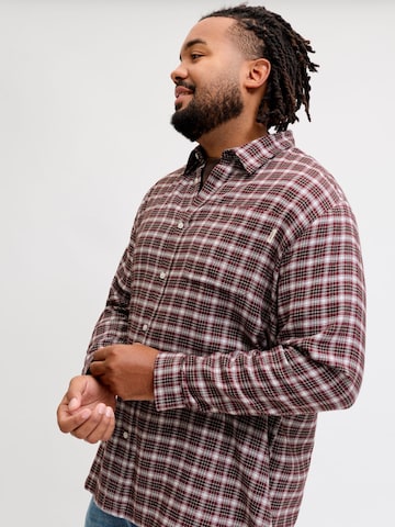 Coupe regular Chemise Jack & Jones Plus en rouge