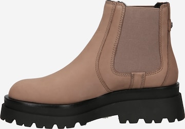 ALDO Chelsea Boots 'STOMPD' i brun