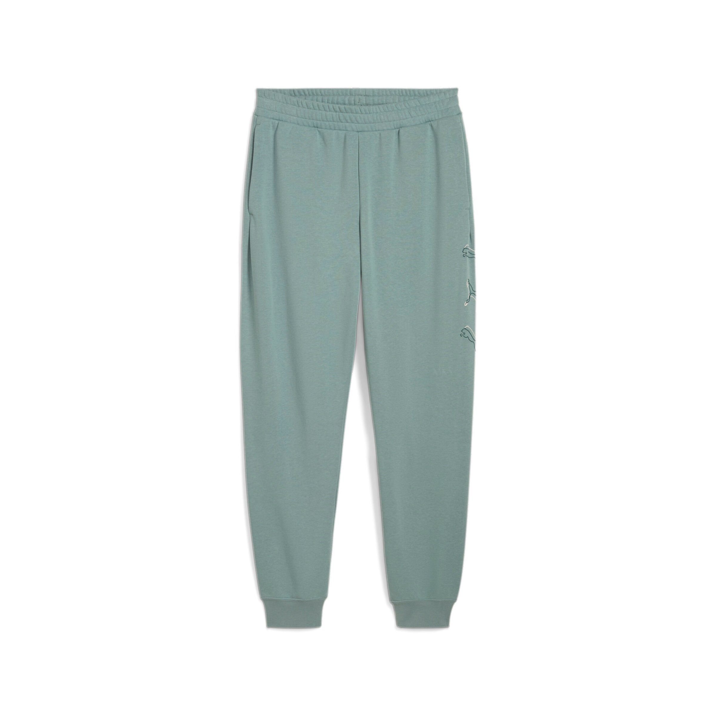 PUMA Pants in Green: front