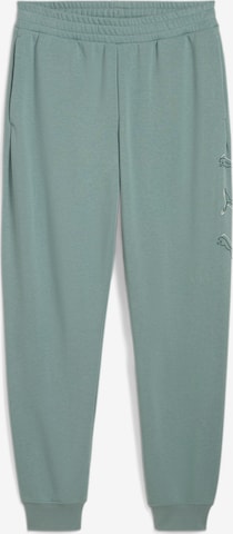 PUMA Pants in Green: front
