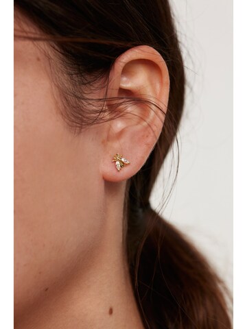 Boucles d'oreilles 'Zaza' P D PAOLA en jaune : devant