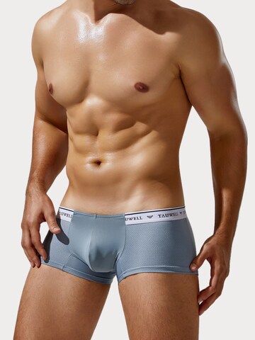 TAUWELL Boxer shorts in Grey: front