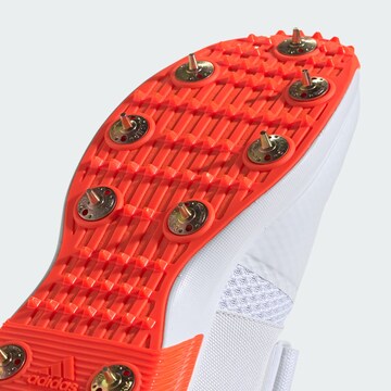 Chaussure de sport 'Adipower Vector 20' ADIDAS PERFORMANCE en blanc
