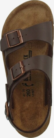 BIRKENSTOCK Sandale ' Kano ' in Braun