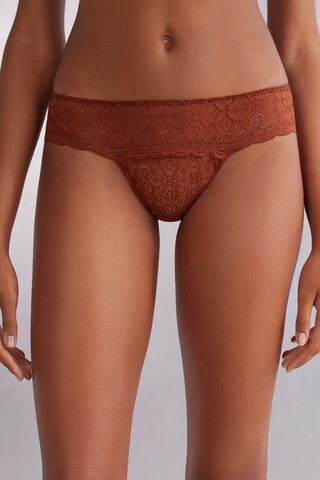 INTIMISSIMI Thong in Brown: front