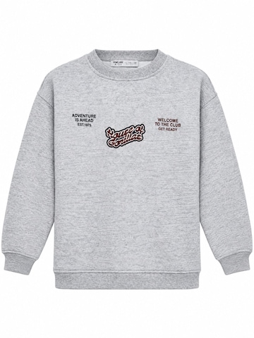 GrimelangeSweater majica 'Sweatshirts' - siva boja: prednji dio