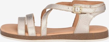 Apple of Eden Sandalen met riem ' IRINA ' in Goud