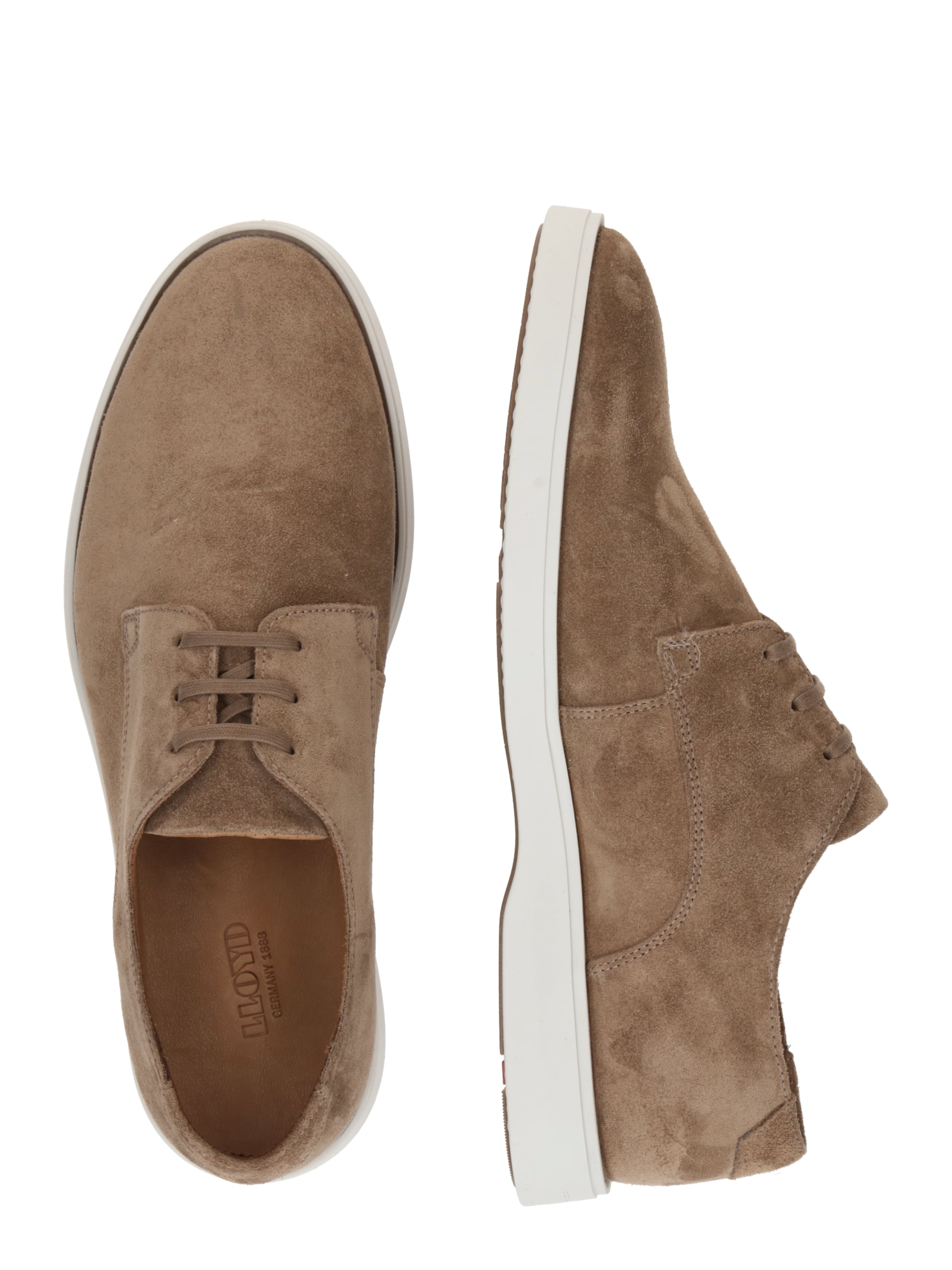 LLOYD - Sapato com atacadores 'HILLARY' em castanho