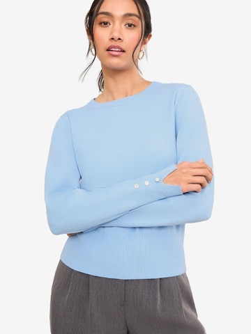 Friends Like These Sweater in Blue: front