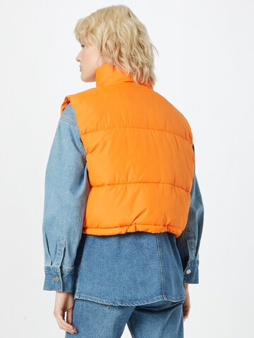 WEEKDAY Bodywarmer in Oranje