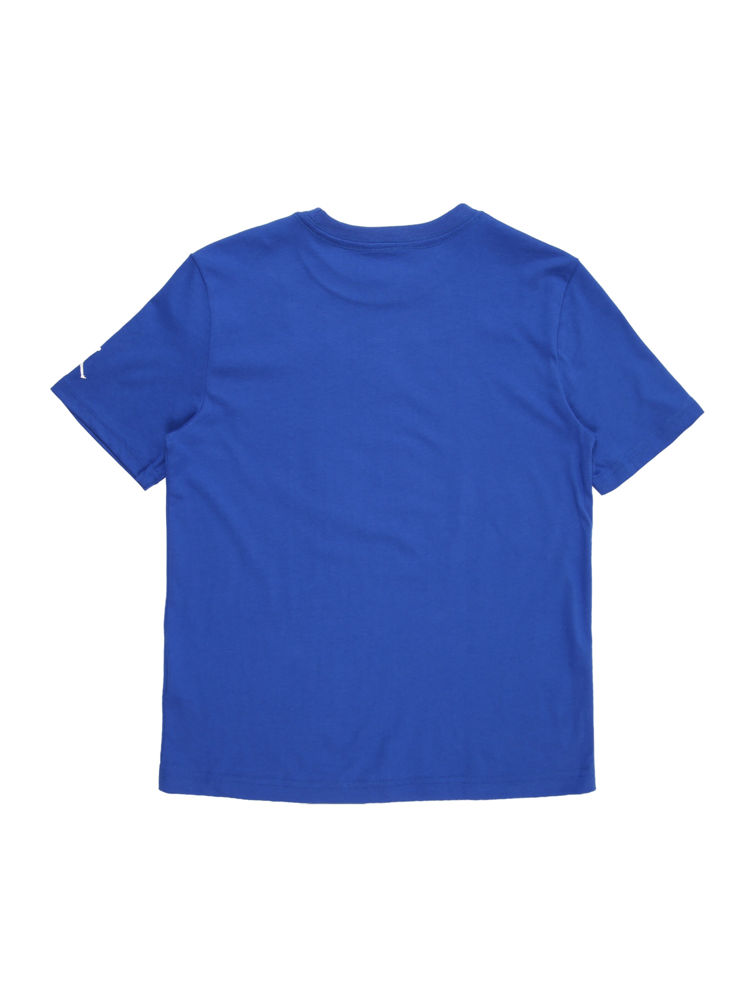 Jordan Shirt 'FLT ESS 3.0' in Blauw