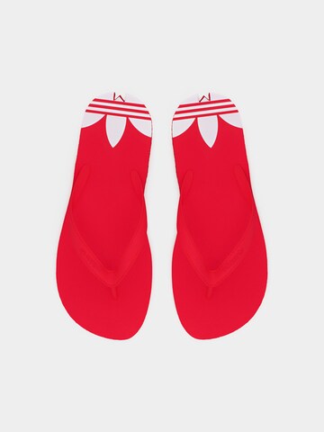 Tongs 'Adi Sun' ADIDAS ORIGINALS en rouge