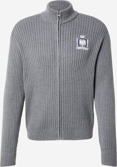 Kardiganas iš HOLLISTER, spalva – mėlyna / pilka / balta, Prekių apžvalga