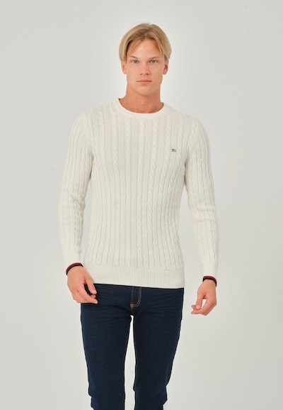 Basics and More Sweater in Ecru, Item view