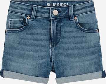 mėlyna WE Fashion Prigludęs Džinsai: priekis