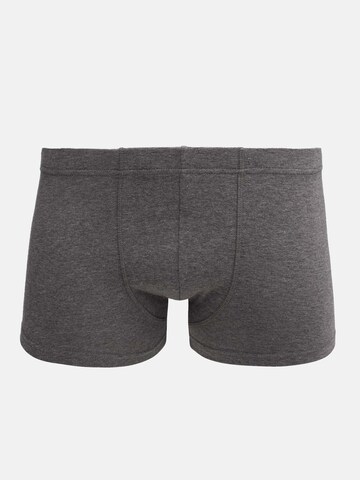 Tazzio Boxershorts 'BS1003' in Mischfarben
