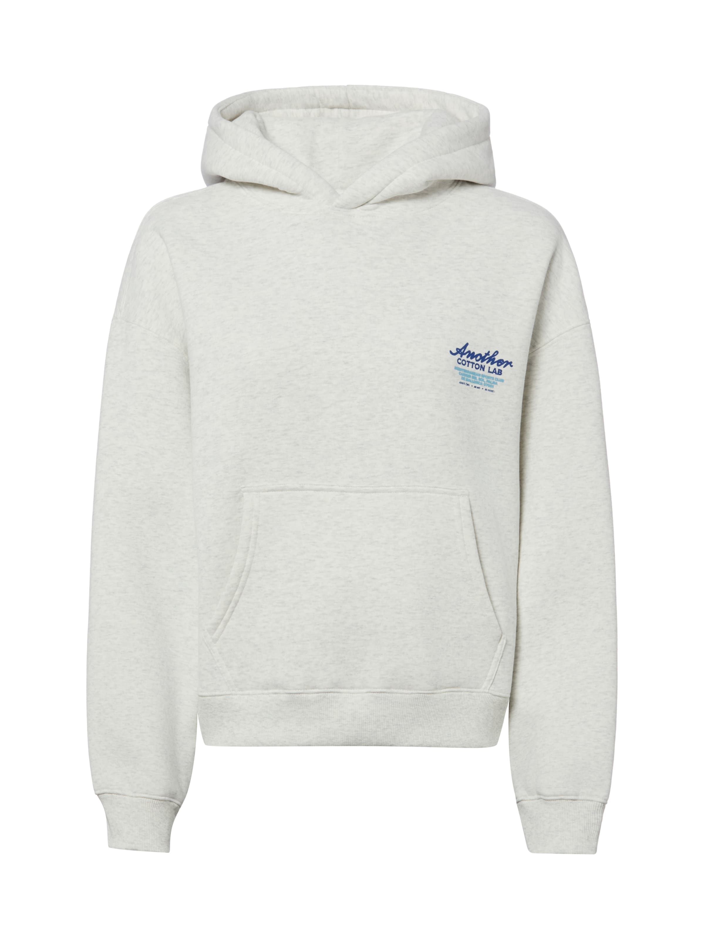 Another Cotton Lab Sweatshirt in Grau: Vorderseite