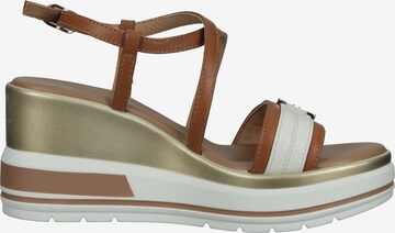 Nero Giardini Sandals in Brown