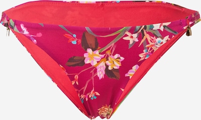 Banana Moon Bikinitrusse i gylden gul / gran / grasgrøn / fuchsia / lyserød, Produktvisning