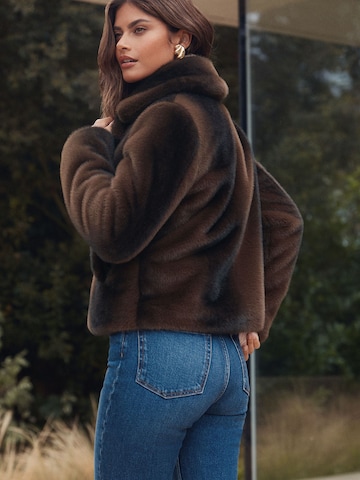 Lipsy Winter coat in Brown