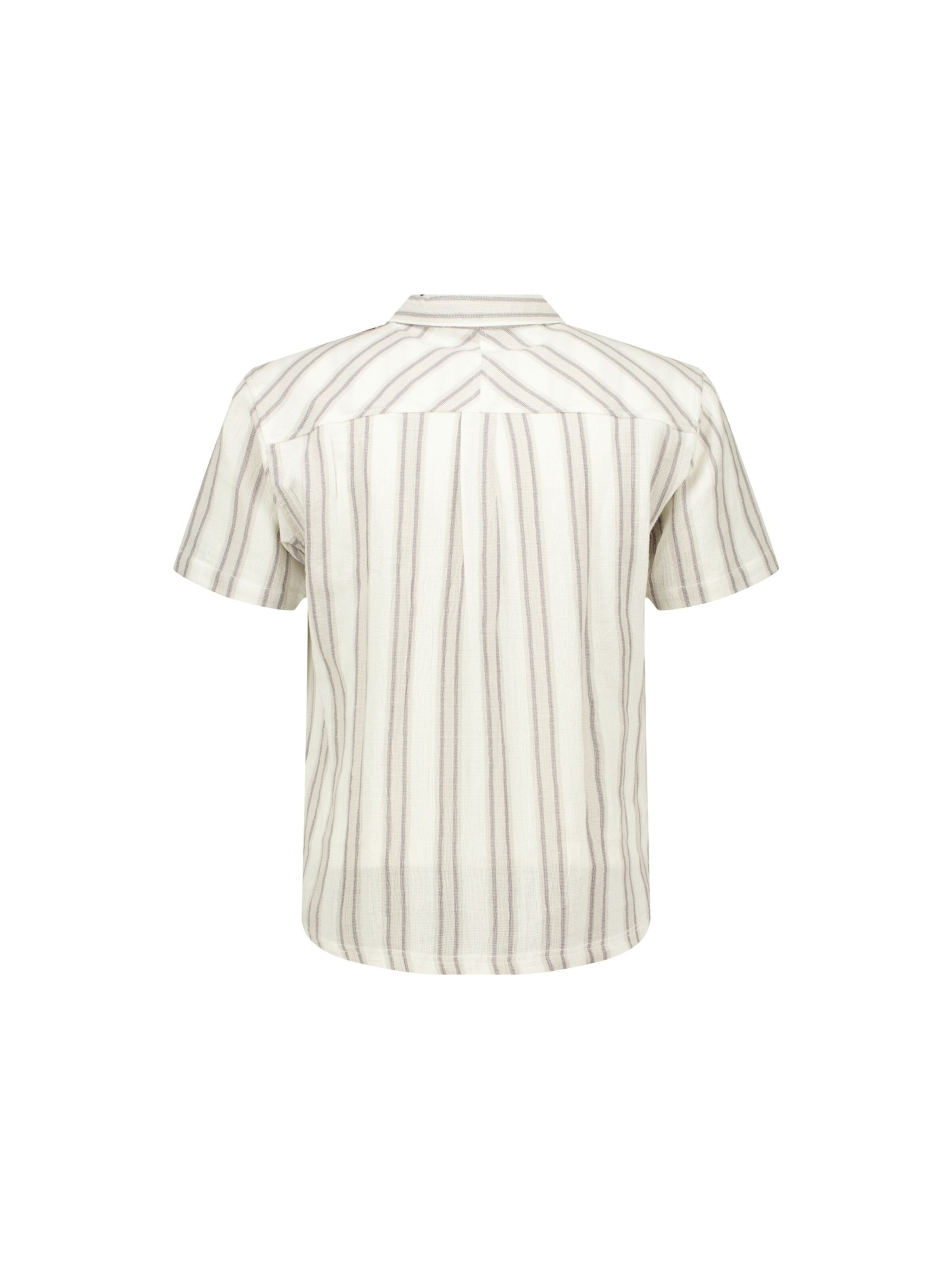 Coupe regular Chemise 'CURRIES' Deeluxe en gris