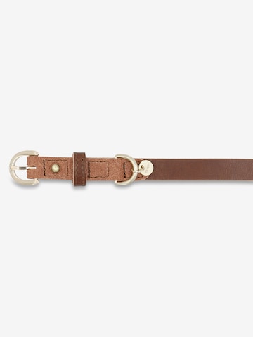 Picard Pet accessories 'Susi' in Brown